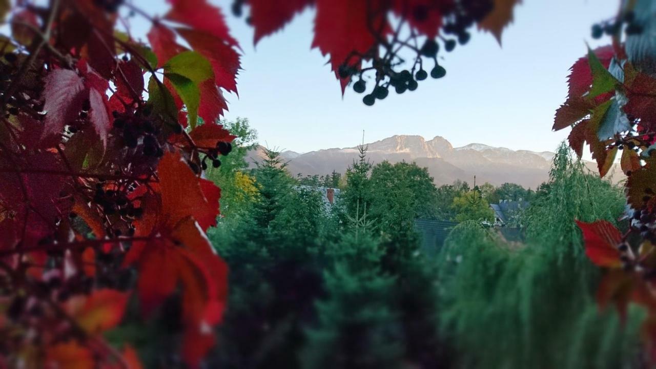 Mountain View Apartment Zakopane Eksteriør billede